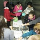 img_9185.jpg
