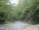 img_1546.jpg