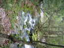 img_1640.jpg