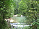img_1661.jpg