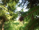 2012-09-04-14.45.29.jpg