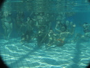 img_9349.jpg