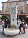 p1050960.jpg