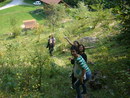 p1060015.jpg