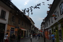 dsc_0067.jpg
