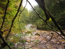 img_1763.jpg