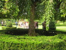 img_1783.jpg